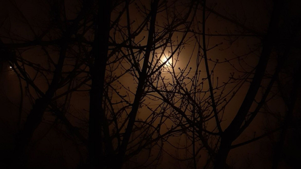 Туман и ветер: какой будет погода в Казахстане 21 октября Туман и ветер: какой будет погода в Казахстане 21 октября