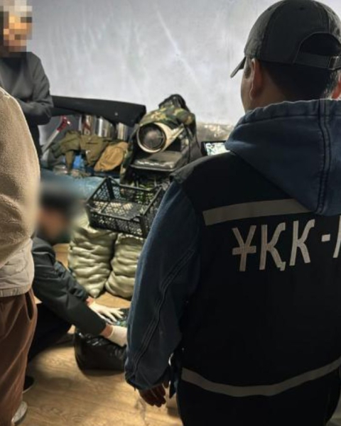 30 кг гашиша и оружие изъяты в Караганде