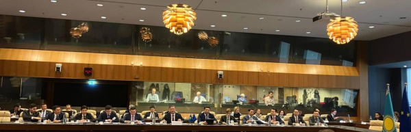 Казахстан и ЕС на пути к стратегическому партнерству в сфере сырьевых ресурсов