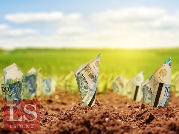 Аграрии из Астаны и Шымкента активно берут кредиты Аграрии из Астаны и Шымкента активно берут кредиты