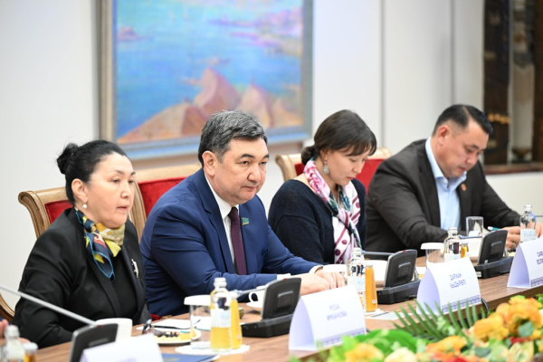 «Ұлттық мүдде»: продвижение ценностей патриотизма