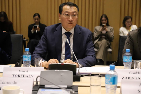 Италия инвестирует в устойчивое развитие Казахстана