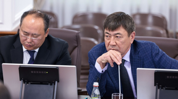 Диверсификация экономики и развитие новых точек роста