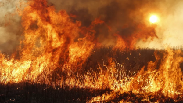 В Карагандинской области степной пожар охватил 35 000 га – МЧС В Карагандинской области степной пожар охватил 35 000 га – МЧС
