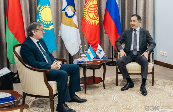 ЕАЭС и МЕРКОСУР: динамика во взаимной торговле