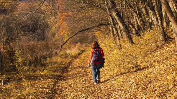 Как фрилансерам эффективно организовать выходные | Inbusiness.kz