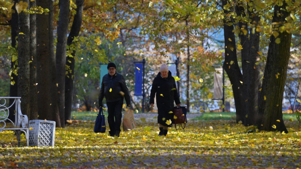 Какая погода будет в Казахстане 26 октября Какая погода будет в Казахстане 26 октября