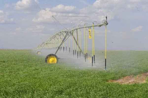 В Мактаарале будет развиваться хлопково-текстильный кластер