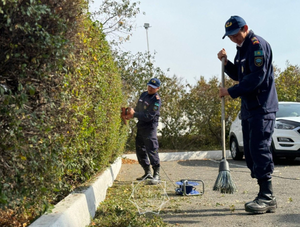 Сотрудники МЧС активно участвуют в озеленении Жетісу