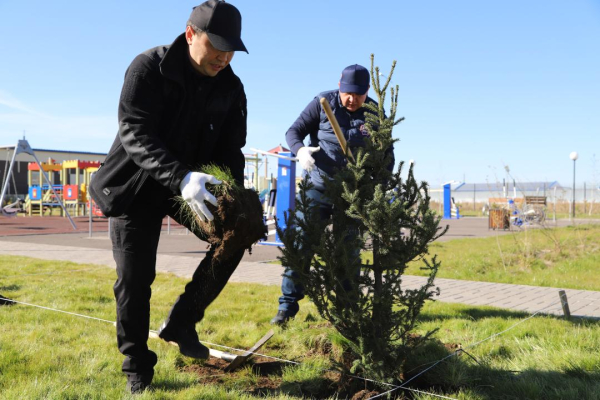 Зеленый субботник в МЧС