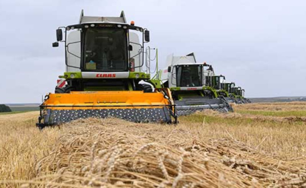 Рекордный урожай зерна в Казахстане: что ждёт аграриев в 2025 году? Рекордный урожай зерна в Казахстане: что ждёт аграриев в 2025 году?