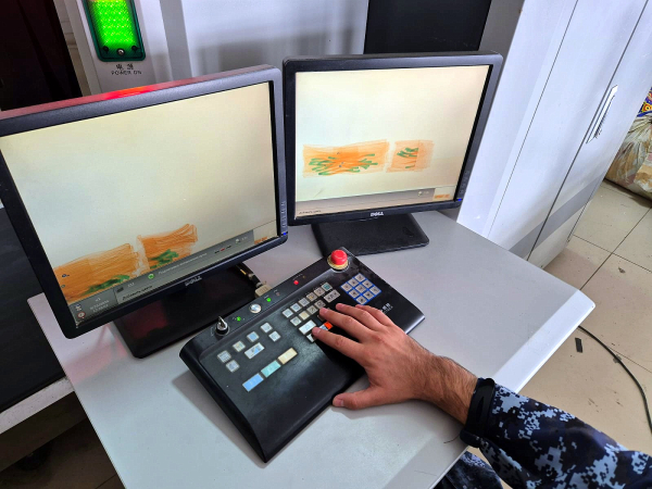 На таможне выявили незаконный провоз объектов дикой фауны