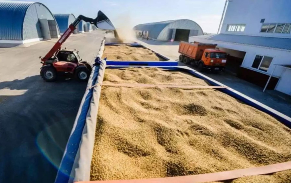 Казахстан планирует перевозить до 1,3 млн тонн зерна в месяц Казахстан планирует перевозить до 1,3 млн тонн зерна в месяц