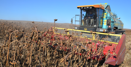 Математические модели помогут мониторить реальную занятость на селе Математические модели помогут мониторить реальную занятость на селе