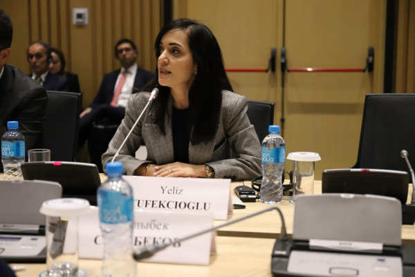 Италия инвестирует в устойчивое развитие Казахстана