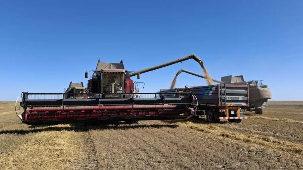 Костанайские аграрии хотят вернуть государству лизинговую технику | Inbusiness.kz Костанайские аграрии хотят вернуть государству лизинговую технику | Inbusiness.kz