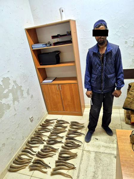 На таможне выявили незаконный провоз объектов дикой фауны