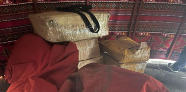 Контрабанда на 2 миллиарда: рога сайги пытались вывести из Казахстана Контрабанда на 2 миллиарда: рога сайги пытались вывести из Казахстана