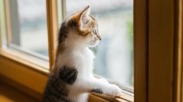 От ноября до марта: большой прогноз погоды в Казахстане | Inbusiness.kz От ноября до марта: большой прогноз погоды в Казахстане | Inbusiness.kz