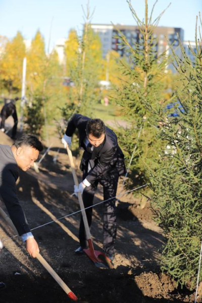 200 волонтеров посадили более 100 деревьев в Астане