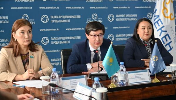 Шымкент обсуждает налоговые реформы