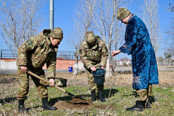 В военном городке посадят сад из 1000 деревьев