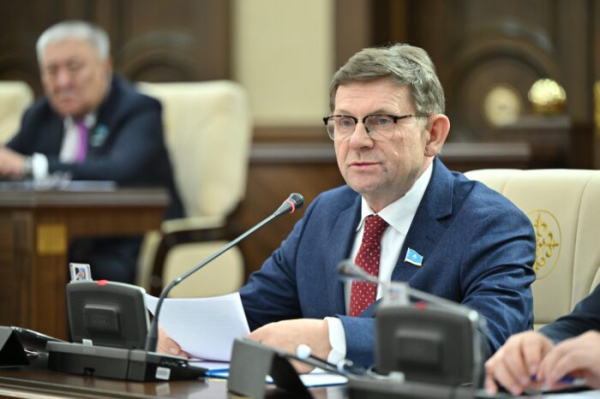 Депутат Пономарёв предложил строить мусороперерабатывающие заводы для улучшения экологии