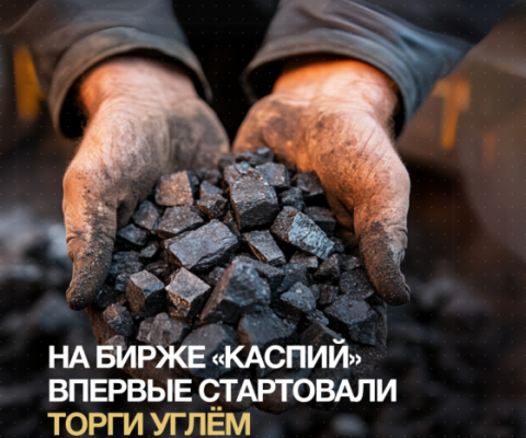 В Казахстане начались биржевые торги социально значимым углём марки Шубарколь