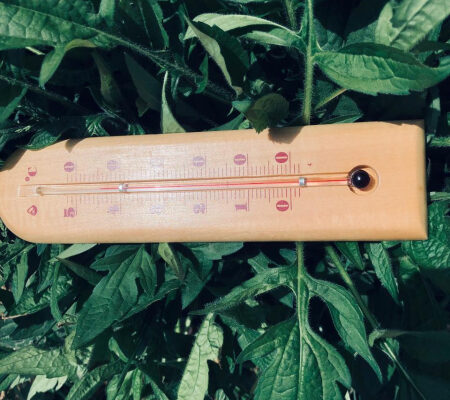 Жара до +43°C и резкое похолодание: где и когда ждать погодных аномалий