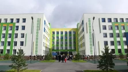 В Казахстане более 200 тыс. сельских детей получат новые школы