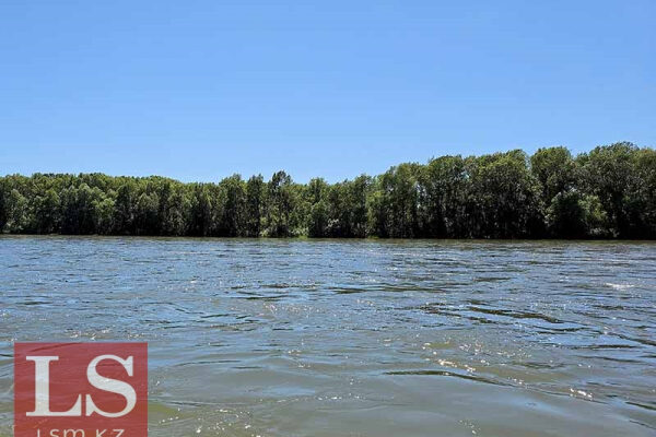 Дипломатия чистой воды: как Казахстан решает вопросы с соседями