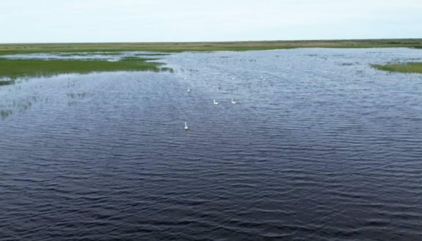 Впервые за 10 лет озеро Караколь вновь наполнилось водой