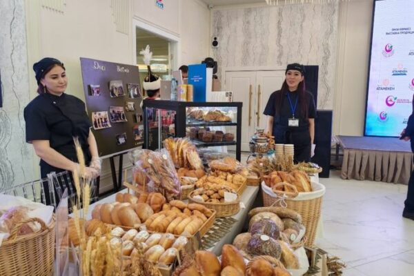 Акмолинские полуфиналисты ОСОП готовятся к защите проектов перед бренд-комитетом