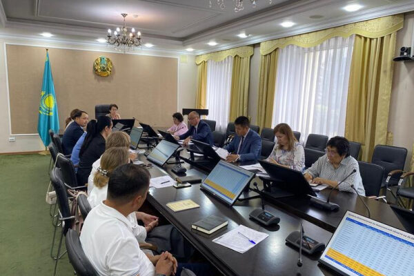 Совещание по вопросам Цифровой карты семьи