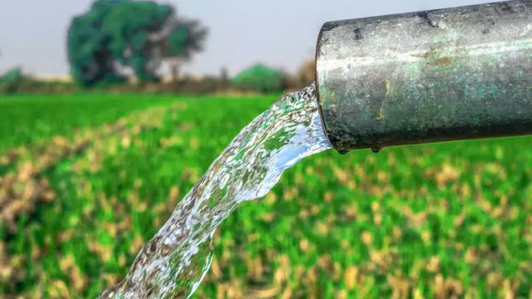 Правительство Казахстана выделило 1 млрд тенге на решение проблемы полива в Кызылординской области Правительство Казахстана выделило 1 млрд тенге на решение проблемы полива в Кызылординской области