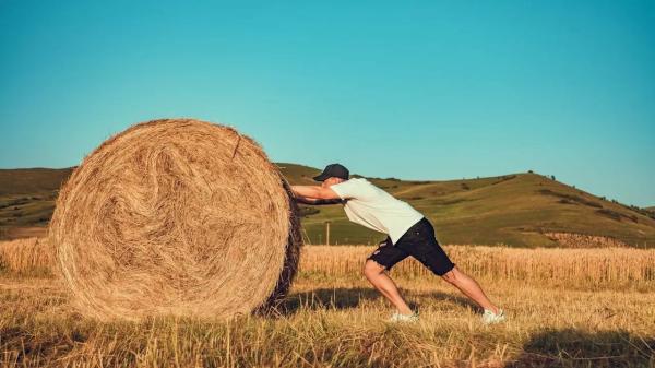 Что будет с ценами на мясо в Казахстане: кормозаготовка шлет сильный сигнал | Inbusiness.kz Что будет с ценами на мясо в Казахстане: кормозаготовка шлет сильный сигнал | Inbusiness.kz