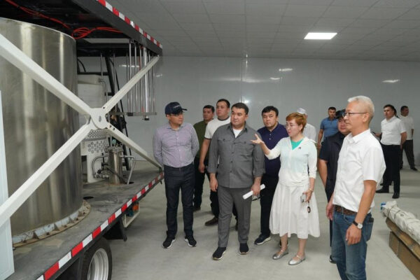 В Туркестанской области развивается проект «Малый промышленный парк»
