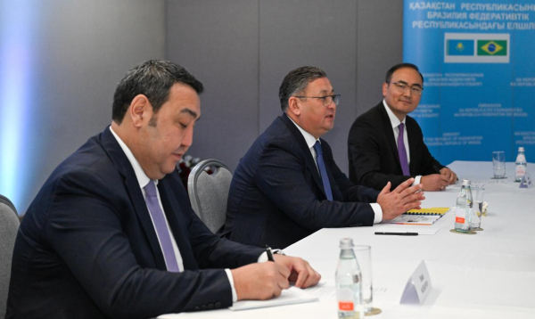 Казахстан и Бразилия наращивают экономический диалог: встречи, меморандумы, проекты