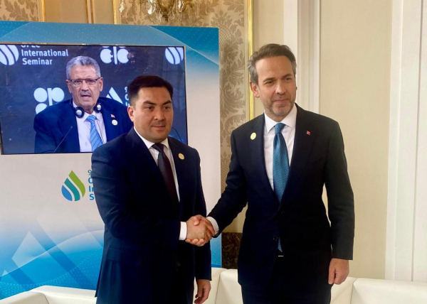 Казахстан и ОАЭ продвигают флагманский проект в сфере ВИЭ Казахстан и ОАЭ продвигают флагманский проект в сфере ВИЭ