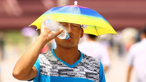 Сильная жара до +43°С ожидается в ряде областей Казахстана