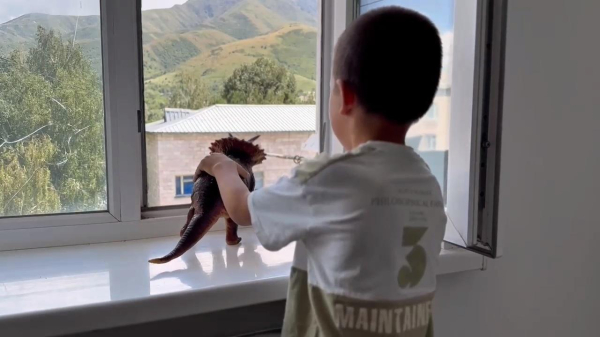 Окна под контролем: МЧС усиливает меры безопасности в домах казахстанцев