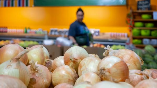 Лук дорожает, рис дешевеет: что ждать от цен в июле | Inbusiness.kz Лук дорожает, рис дешевеет: что ждать от цен в июле | Inbusiness.kz