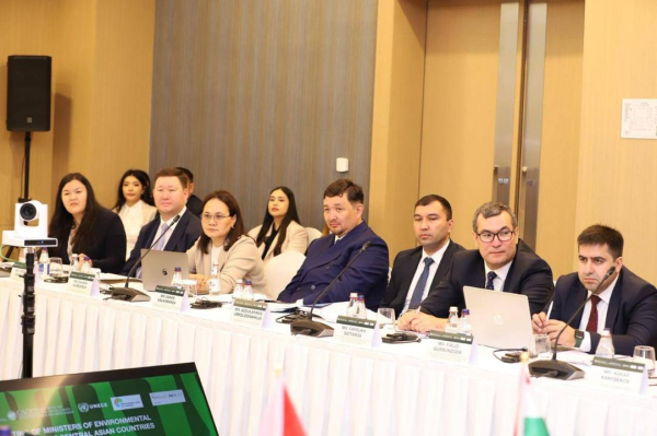 В Актау представили обновлённую концепцию экологического саммита-2026 В Актау представили обновлённую концепцию экологического саммита-2026