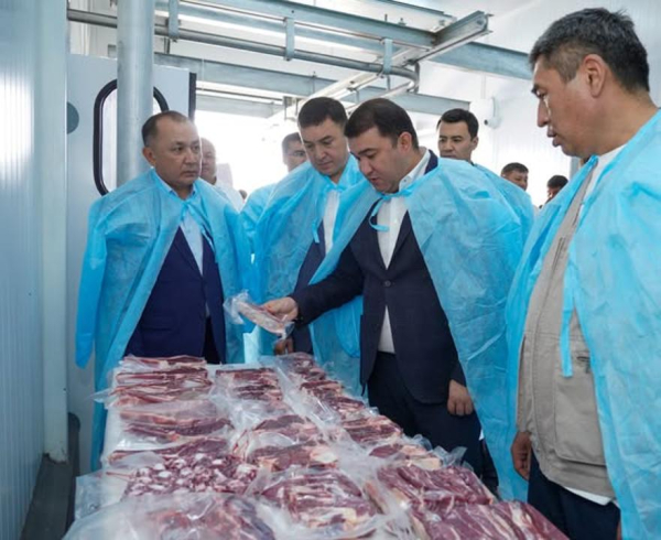 Промышленность и инфраструктура: как развивается Сарыагашский район Промышленность и инфраструктура: как развивается Сарыагашский район