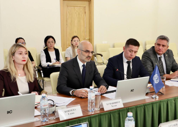 Казахстан и МОТ: новые шаги в реализации Дорожной карты по достойному труду Казахстан и МОТ: новые шаги в реализации Дорожной карты по достойному труду