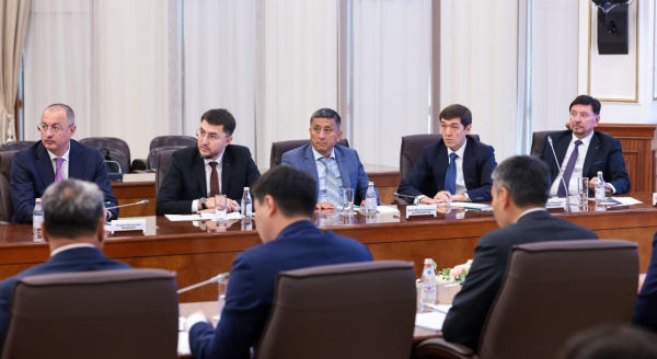 Казахстан реализует 28 инвестпроектов в горнодобывающей отрасли