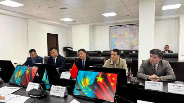 В Жамбылской области реализуют проект по глубокой переработке кукурузы