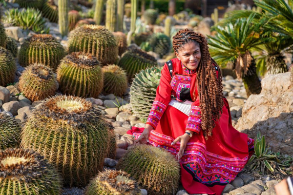 Сколько магазинов и торгово-развлекательных центров построили в Казахстане? Сколько магазинов и торгово-развлекательных центров построили в Казахстане?