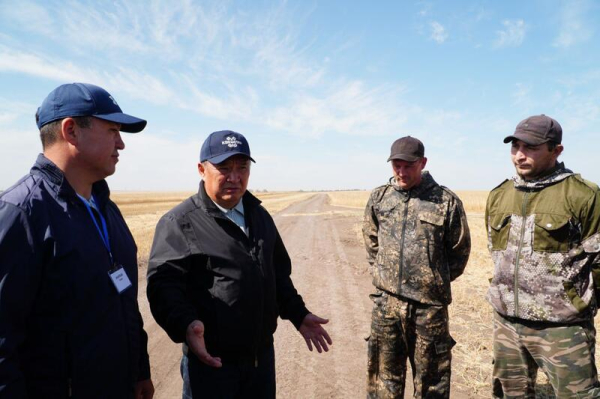 В Акмолинской области уборочная кампания в активной фазе