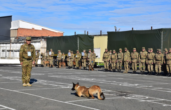 Лучшие кинологи Нацгвардии определены в Петропавловске